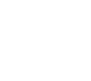 wsmp.tv